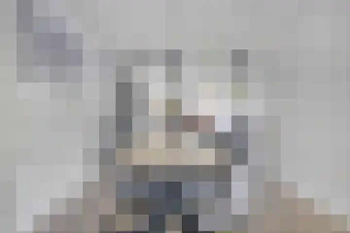 Beekvoorde 63 Borne thumbnail 6
