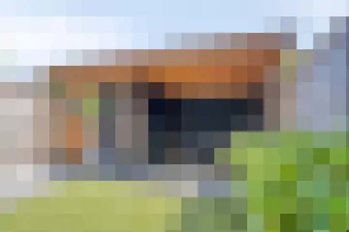 Beekvoorde 63 Borne thumbnail 7