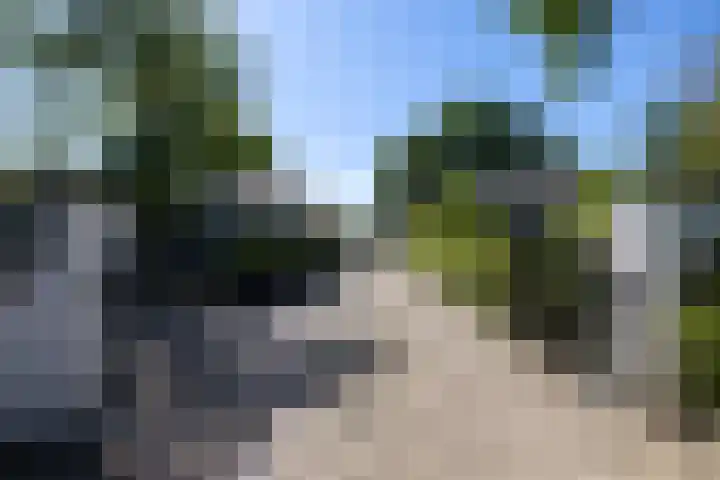 Beekweg 85 Hulshorst thumbnail 11