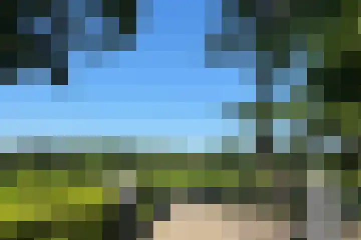 Beekweg 85 Hulshorst thumbnail 12