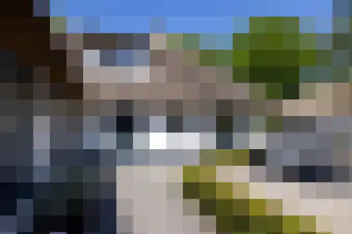 Beekweg 85 Hulshorst thumbnail 15