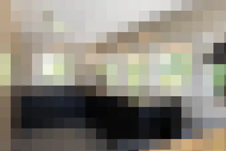 Beekweg 85 Hulshorst thumbnail 17