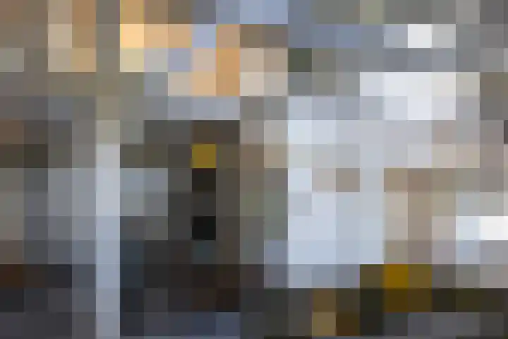 Beekweg 85 Hulshorst thumbnail 23