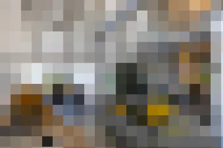 Beekweg 85 Hulshorst thumbnail 25