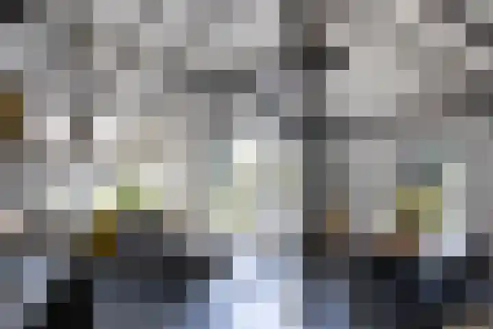 Beekweg 85 Hulshorst thumbnail 26