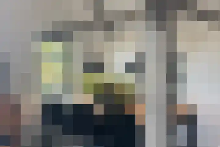 Beekweg 85 Hulshorst thumbnail 28