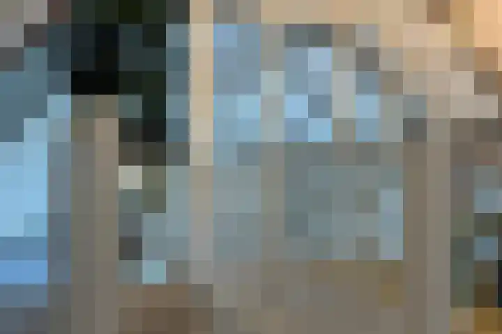 Beekweg 85 Hulshorst thumbnail 35