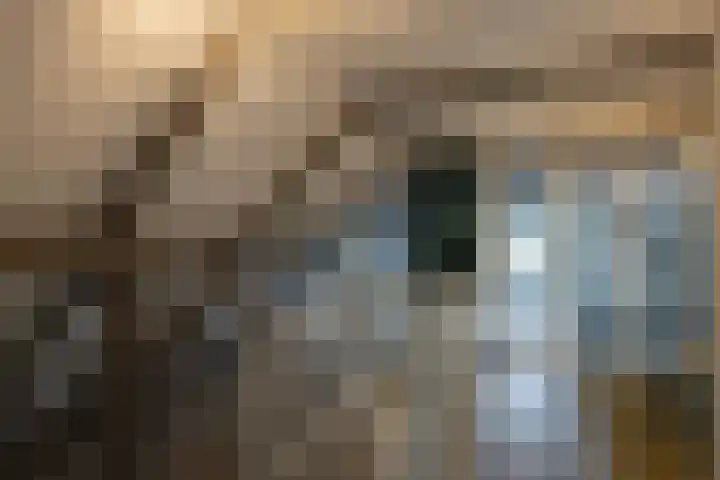 Beekweg 85 Hulshorst thumbnail 36
