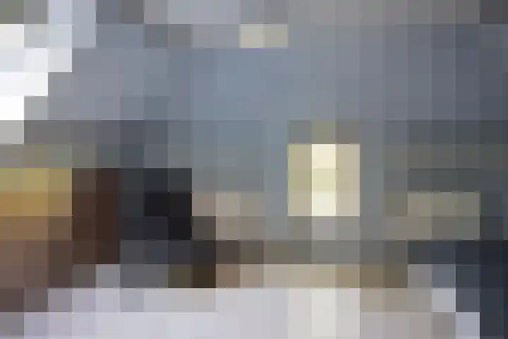 Beekweg 85 Hulshorst thumbnail 39
