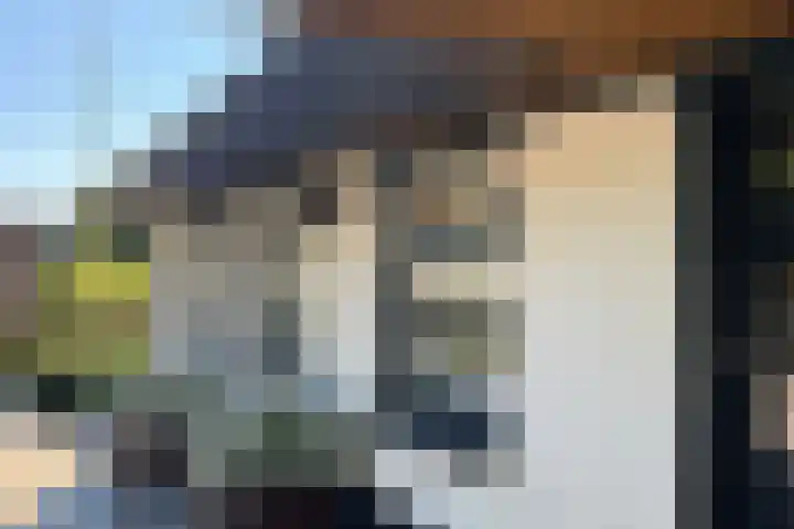 Beekweg 85 Hulshorst thumbnail 41