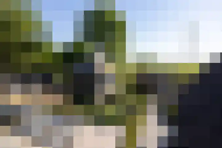 Beekweg 85 Hulshorst thumbnail 42