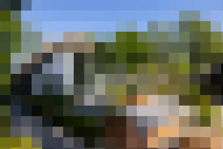 Beekweg 85 Hulshorst thumbnail 43