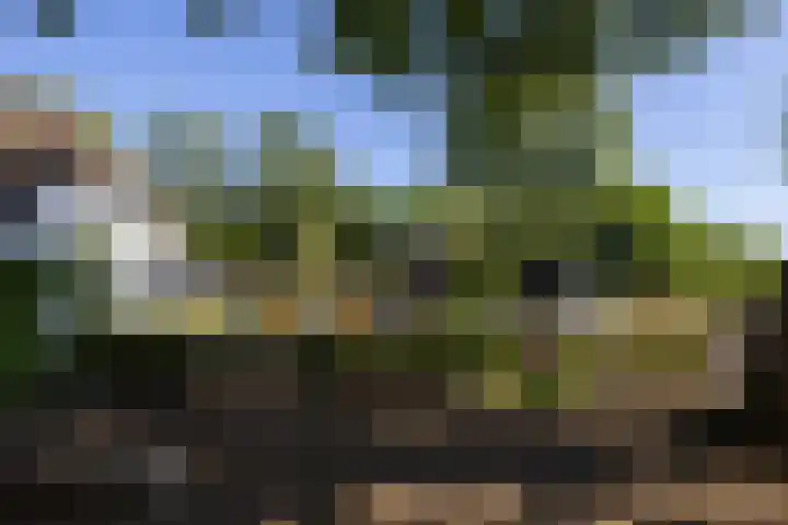 Beekweg 85 Hulshorst thumbnail 45