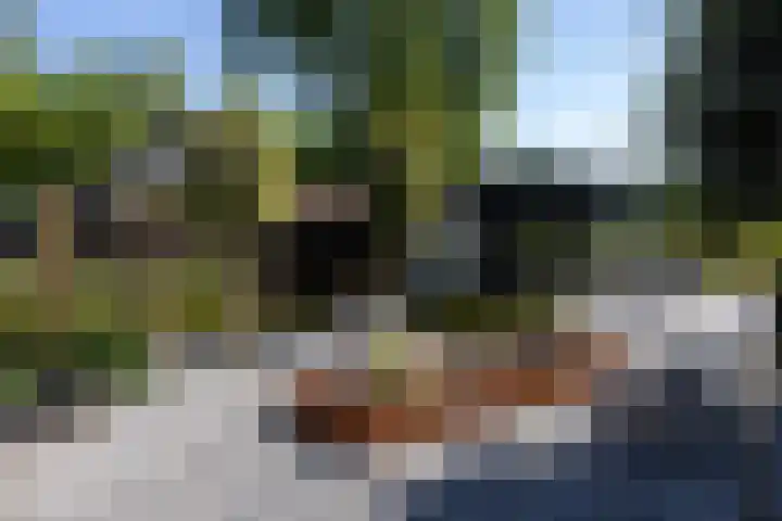 Beekweg 85 Hulshorst thumbnail 46