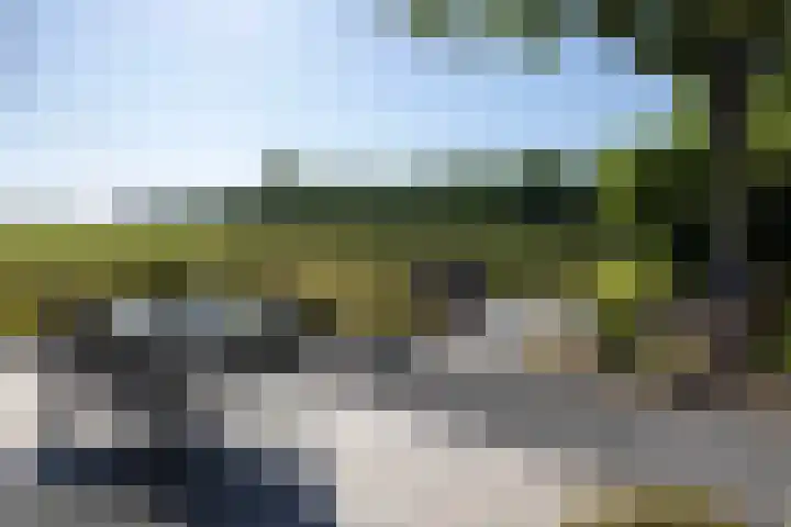 Beekweg 85 Hulshorst thumbnail 48
