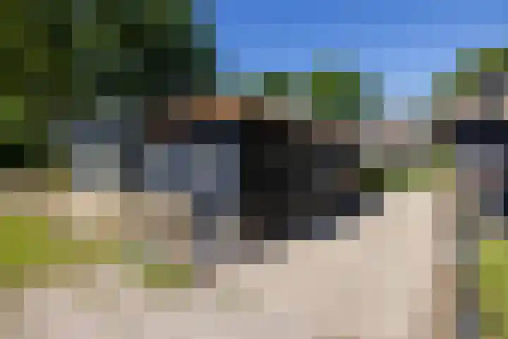 Beekweg 85 Hulshorst thumbnail 56
