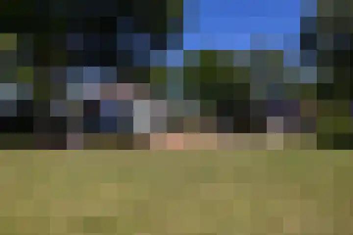 Beekweg 85 Hulshorst thumbnail 58