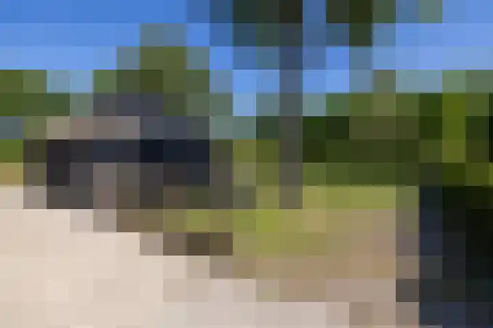 Beekweg 85 Hulshorst thumbnail 60