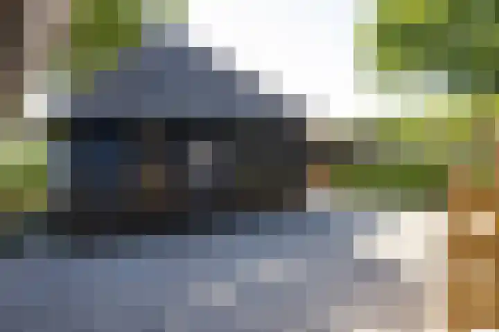 Beekweg 85 Hulshorst thumbnail 61