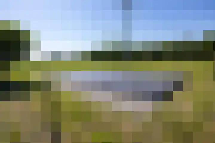 Beekweg 85 Hulshorst thumbnail 64