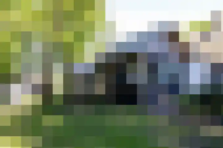Beekweg 85 Hulshorst thumbnail 67