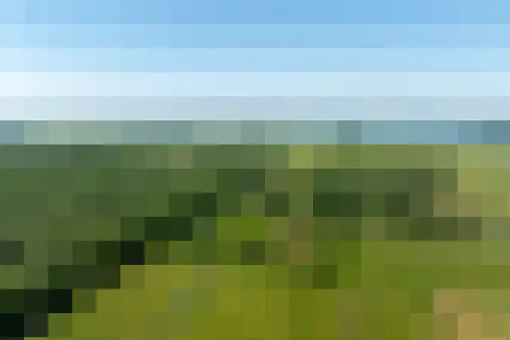 Beekweg 85 Hulshorst thumbnail 7