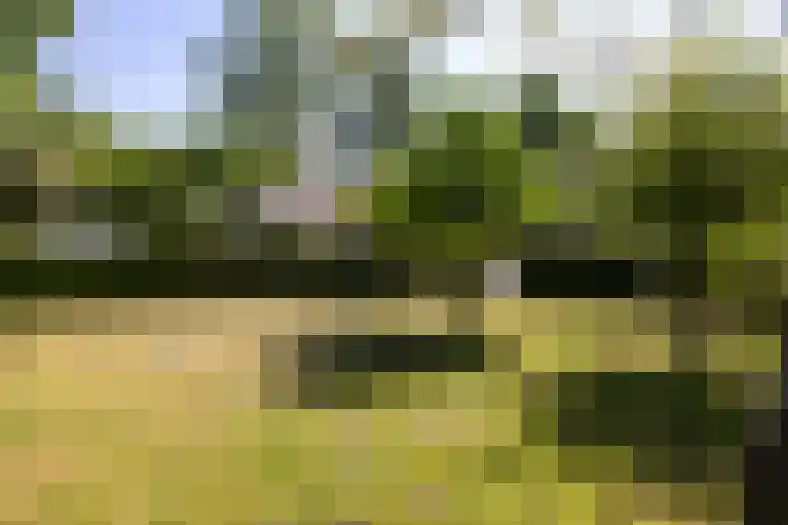 Beekweg 85 Hulshorst thumbnail 70