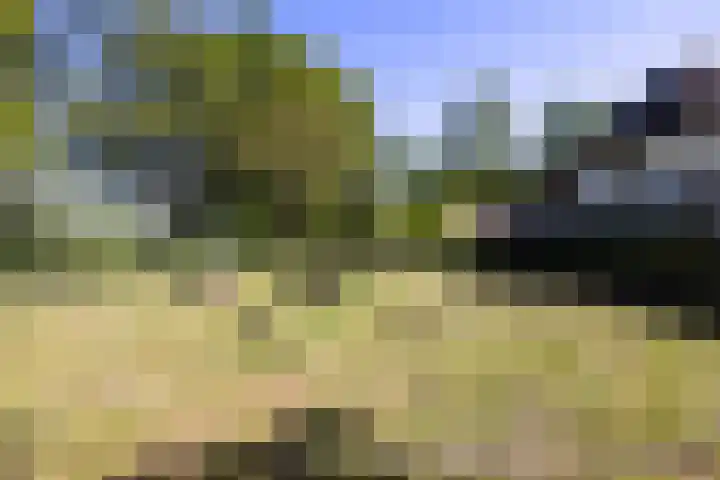 Beekweg 85 Hulshorst thumbnail 72
