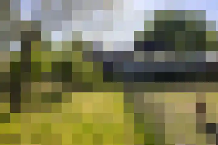 Beekweg 85 Hulshorst thumbnail 74