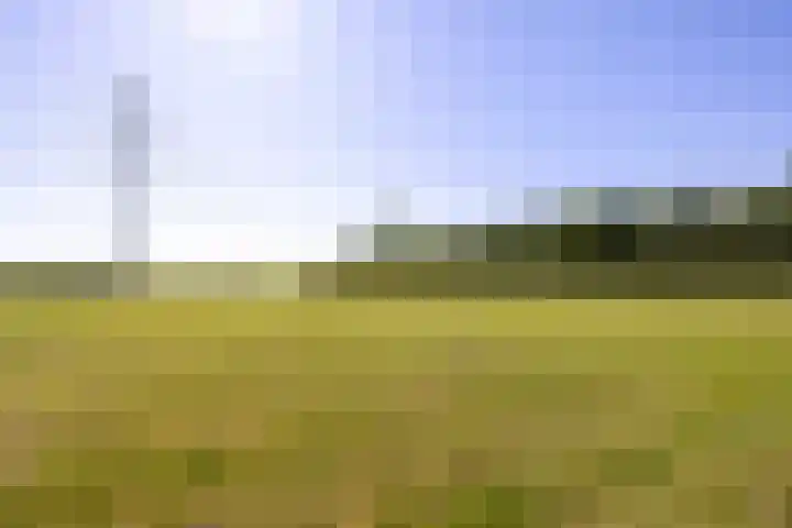 Beekweg 85 Hulshorst thumbnail 76