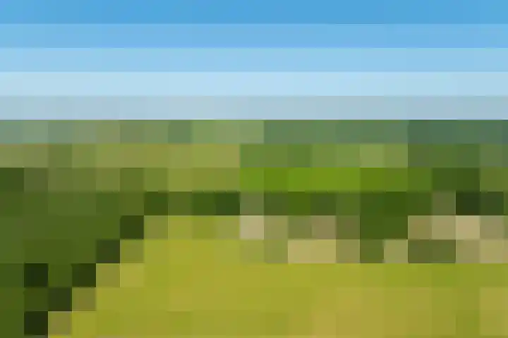 Beekweg 85 Hulshorst thumbnail 78