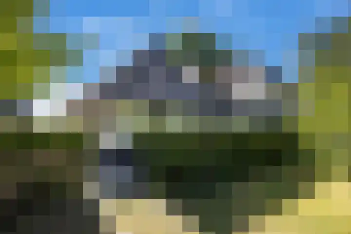 Beekweg 85 Hulshorst thumbnail 8