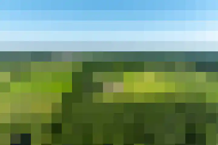Beekweg 85 Hulshorst thumbnail 80