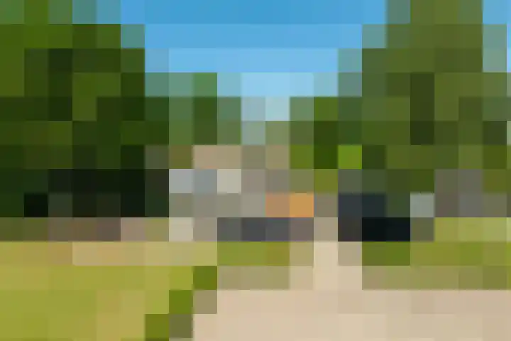 Beekweg 85 Hulshorst thumbnail 9