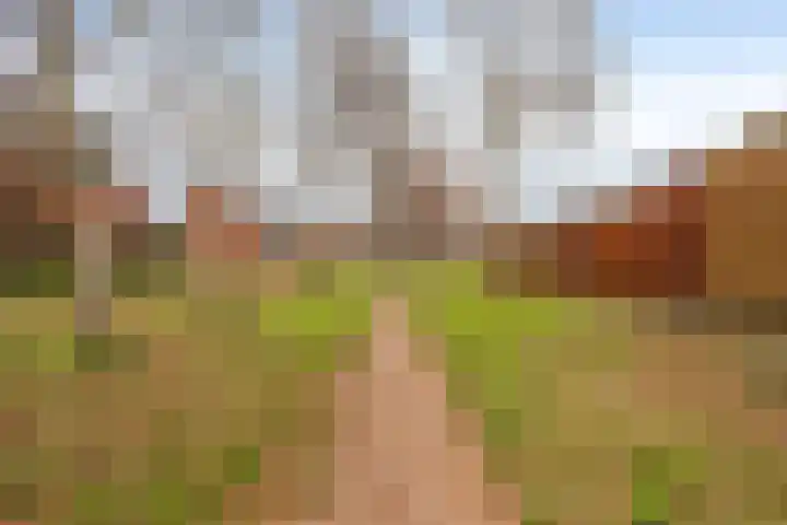 Beekweide 13 a Renswoude thumbnail 32