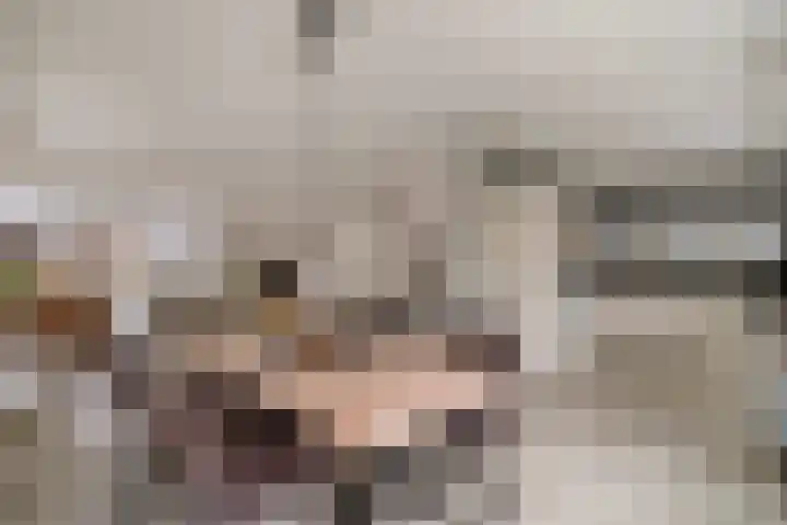 Beekweide 13 a Renswoude thumbnail 8