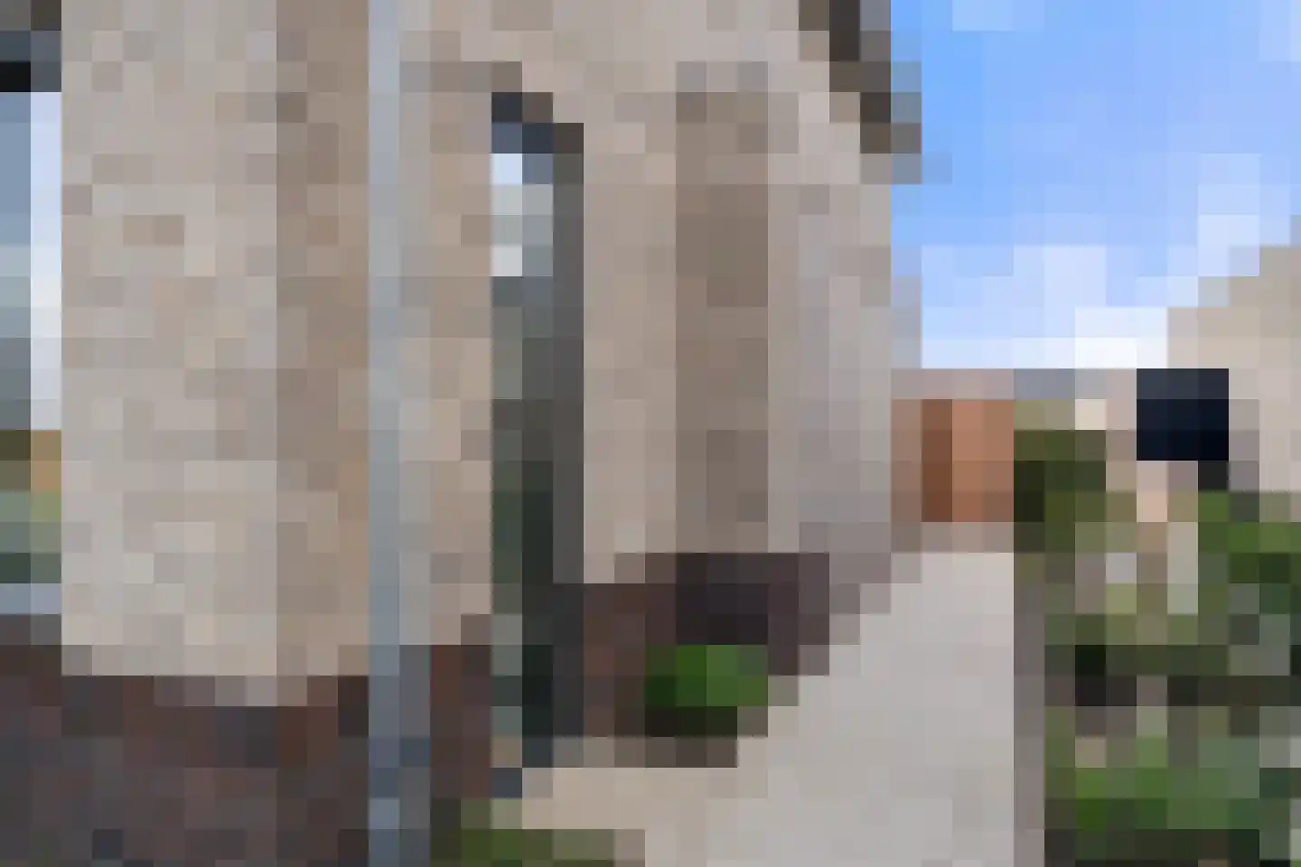 Beekweide 63 Renswoude thumbnail 47