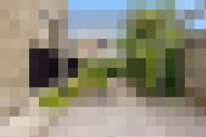Beeldbuisring 20 Eindhoven thumbnail 4