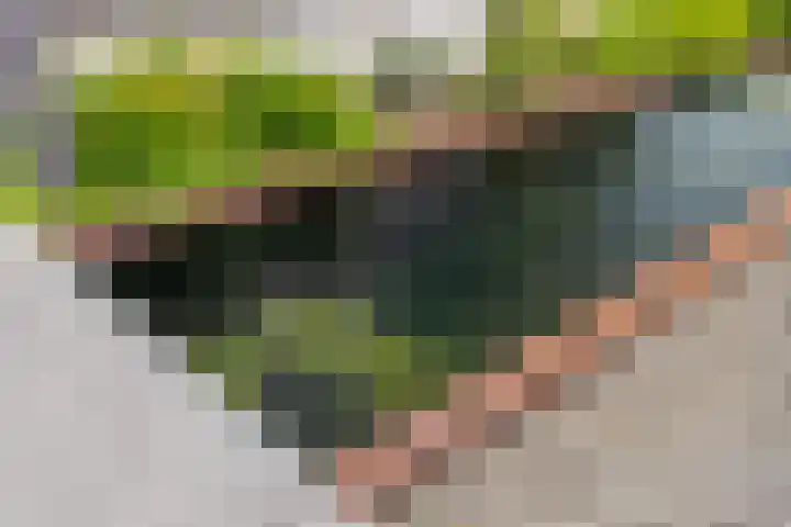 Beeldbuisring 20 Eindhoven thumbnail 54