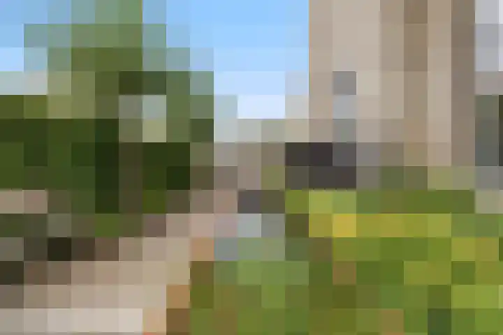 Beeldbuisring 20 Eindhoven thumbnail 57