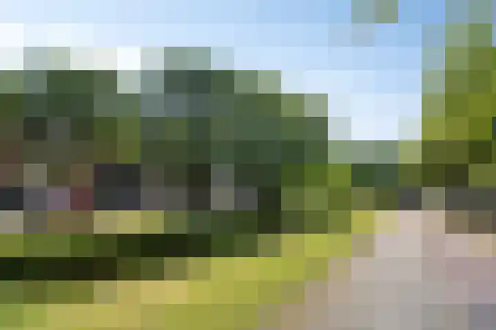 Beeldsnijdersgaarde 5 Den Haag thumbnail 32