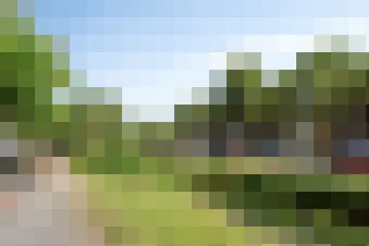 Beeldsnijdersgaarde 5 Den Haag thumbnail 33