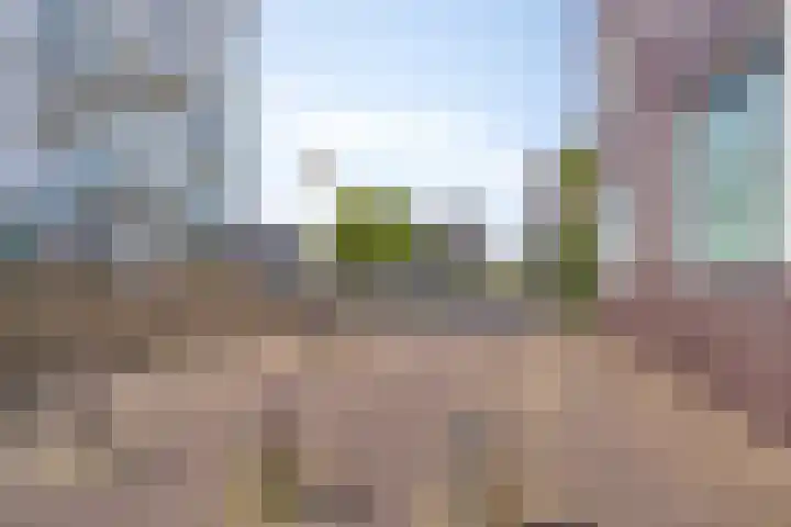 Beeldsnijdersgaarde 5 Den Haag thumbnail 34