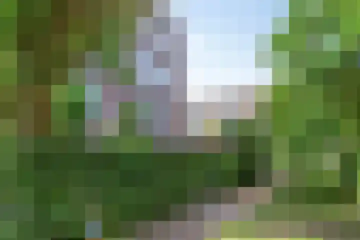 Beeldsnijdersgaarde 5 Den Haag thumbnail 4