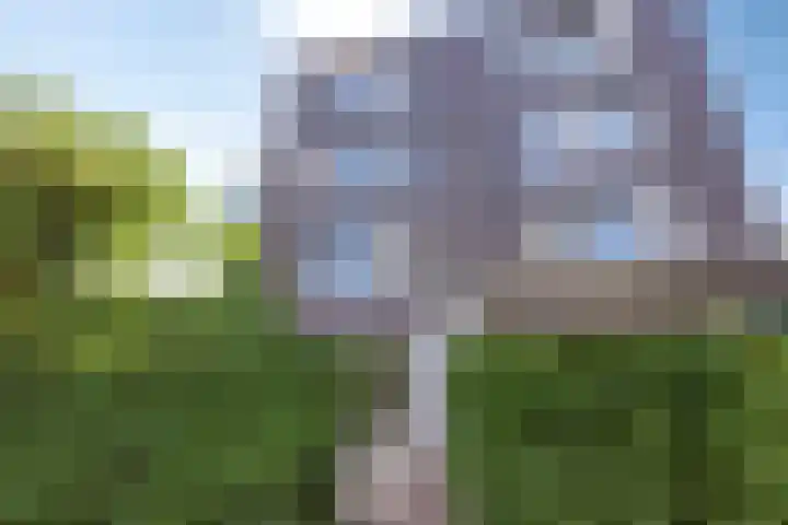 Beeldsnijdersgaarde 5 Den Haag thumbnail 5