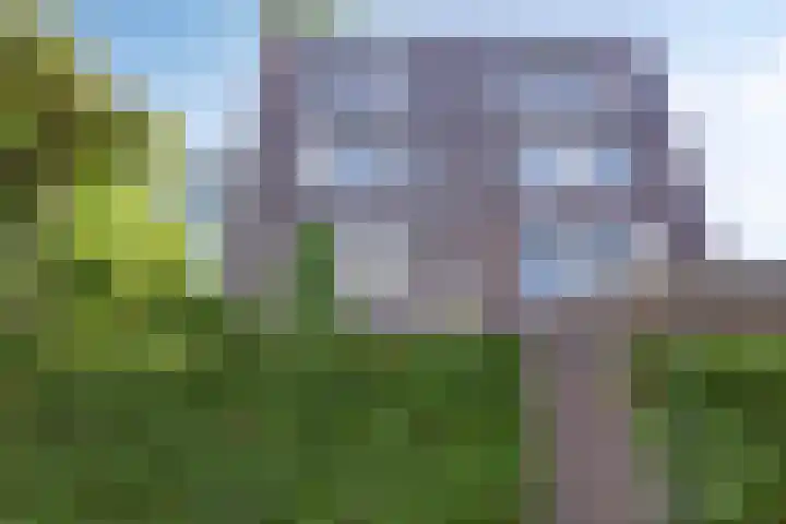 Beeldsnijdersgaarde 5 Den Haag thumbnail 6