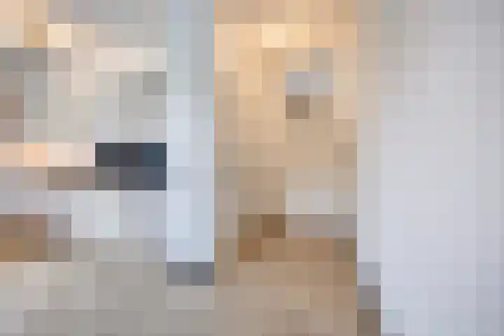 Beeldsnijdersgaarde 5 Den Haag thumbnail 7