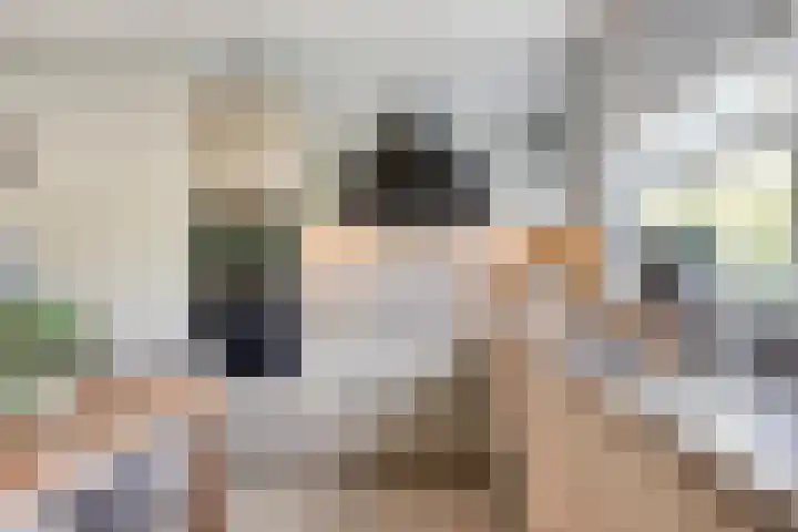 Beeldsweg 17 p Zuidland thumbnail 14