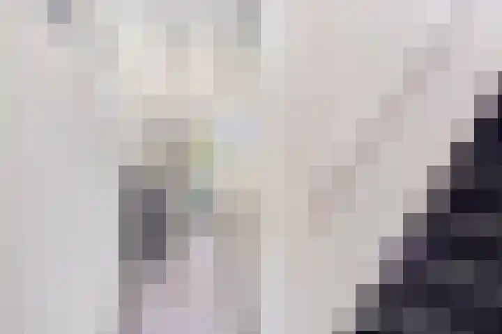 Beeldsweg 17 p Zuidland thumbnail 15