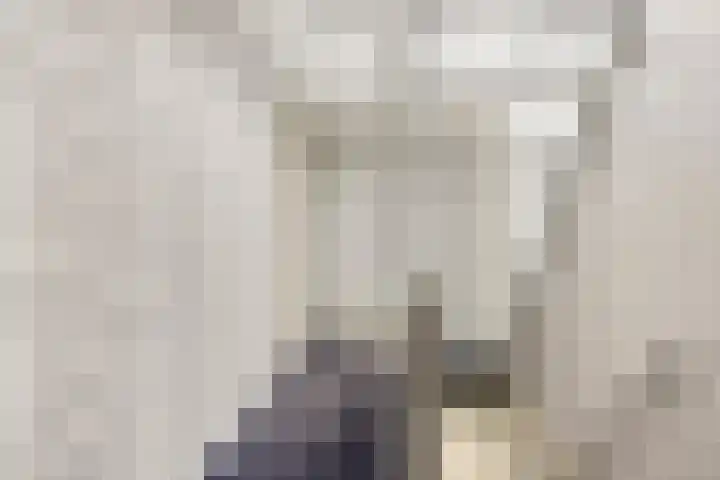 Beeldsweg 17 p Zuidland thumbnail 17